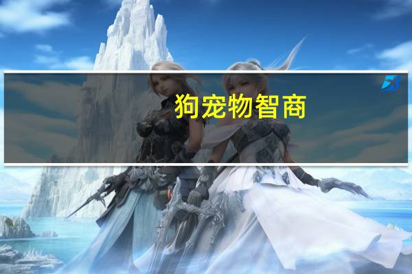狗宠物智商