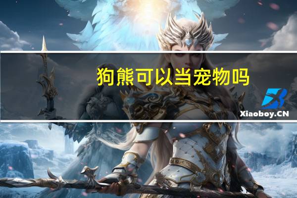 狗熊可以当宠物吗