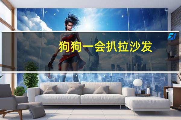 狗狗一会扒拉沙发