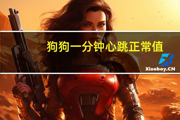 狗狗一分钟心跳正常值
