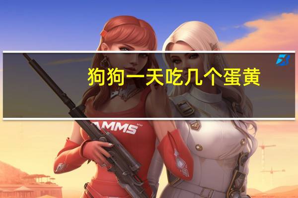 狗狗一天吃几个蛋黄