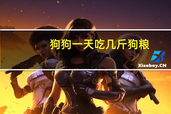 狗狗一天吃几斤狗粮