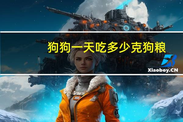 狗狗一天吃多少克狗粮