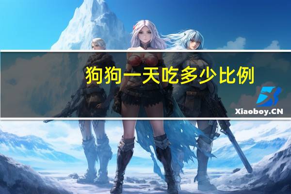 狗狗一天吃多少比例