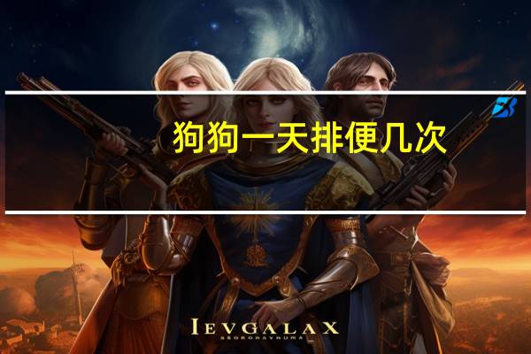 狗狗一天排便几次