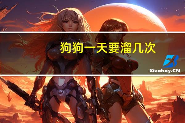 狗狗一天要溜几次
