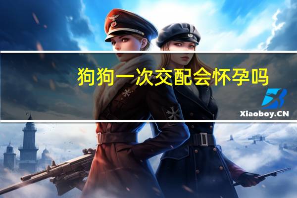 狗狗一次交配会怀孕吗