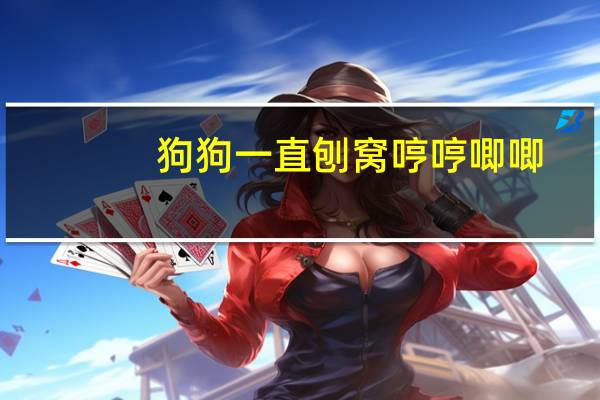 狗狗一直刨窝哼哼唧唧