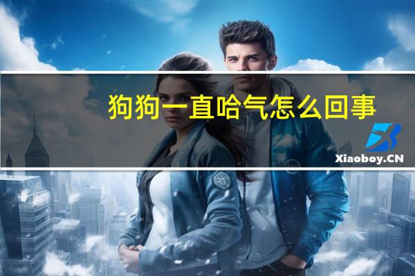 狗狗一直哈气怎么回事