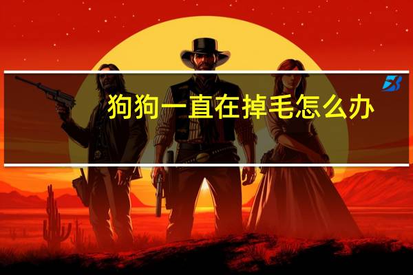 狗狗一直在掉毛怎么办