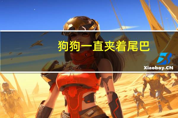 狗狗一直夹着尾巴