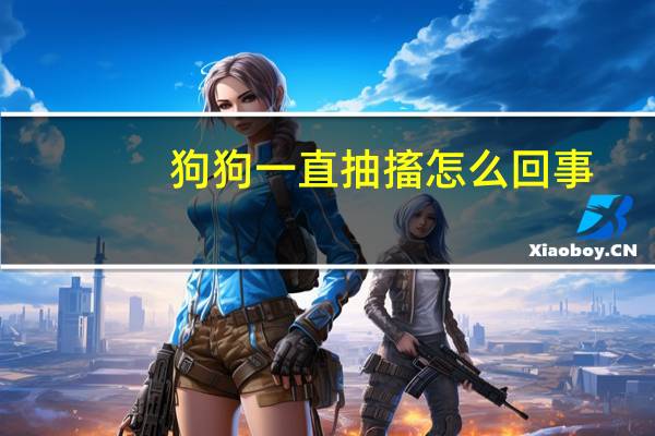 狗狗一直抽搐怎么回事
