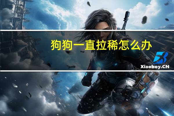 狗狗一直拉稀怎么办