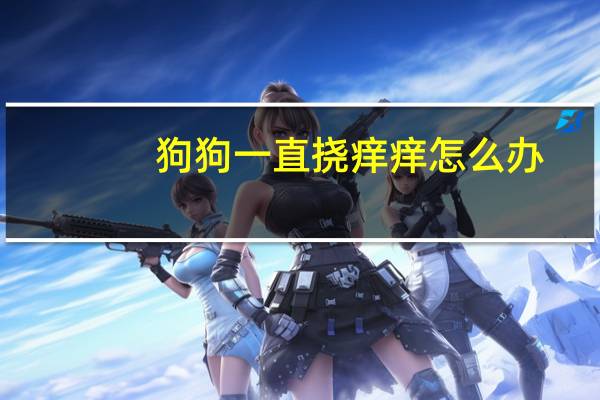 狗狗一直挠痒痒怎么办