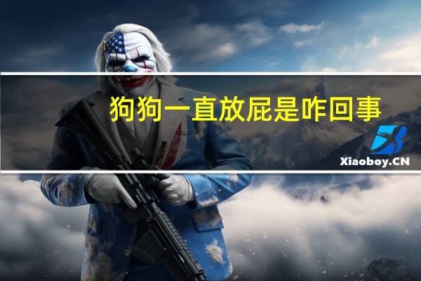 狗狗一直放屁是咋回事