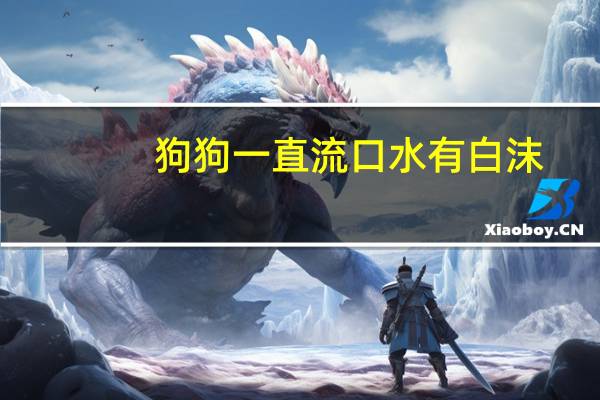 狗狗一直流口水有白沫