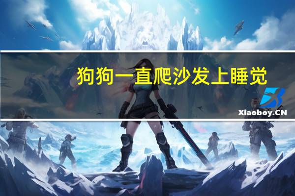 狗狗一直爬沙发上睡觉