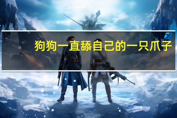 狗狗一直舔自己的一只爪子