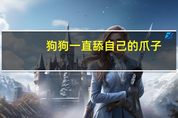 狗狗一直舔自己的爪子