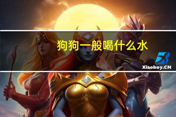 狗狗一般喝什么水