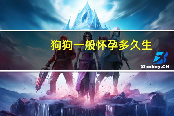 狗狗一般怀孕多久生