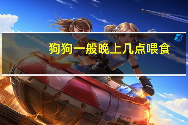 狗狗一般晚上几点喂食