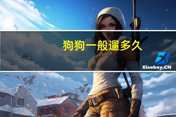 狗狗一般遛多久