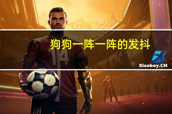狗狗一阵一阵的发抖