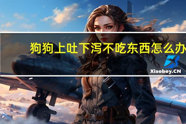 狗狗上吐下泻不吃东西怎么办