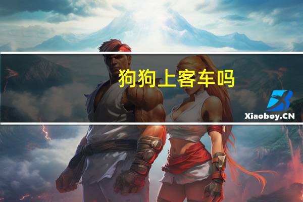 狗狗上客车吗