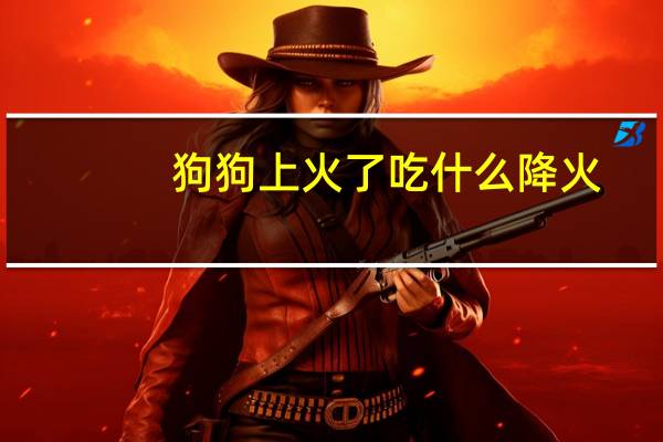 狗狗上火了吃什么降火