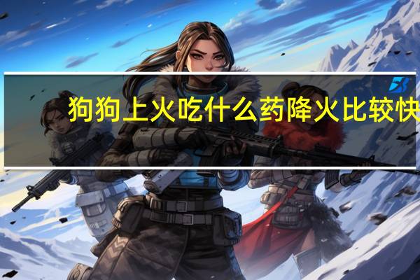 狗狗上火吃什么药降火比较快