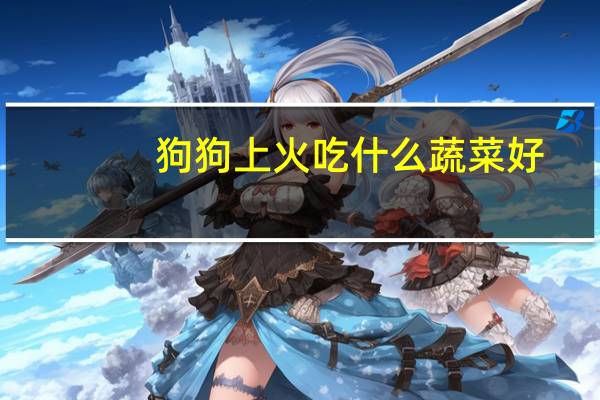 狗狗上火吃什么蔬菜好