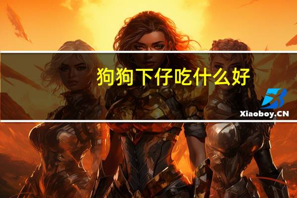 狗狗下仔吃什么好