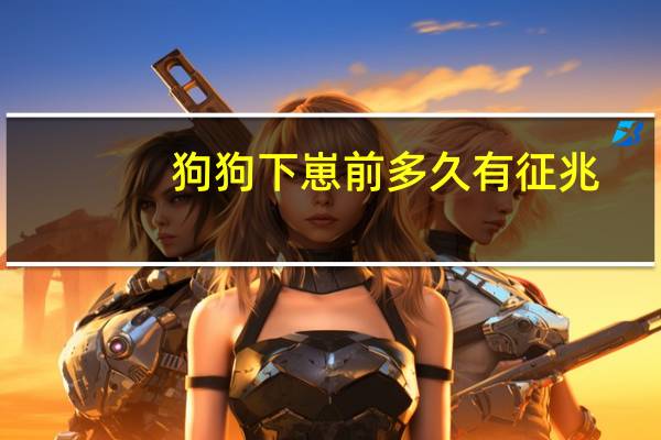 狗狗下崽前多久有征兆