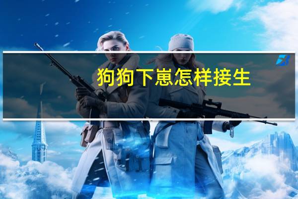 狗狗下崽怎样接生