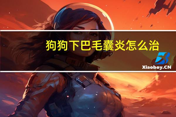 狗狗下巴毛囊炎怎么治