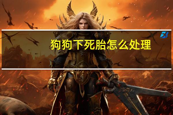 狗狗下死胎怎么处理