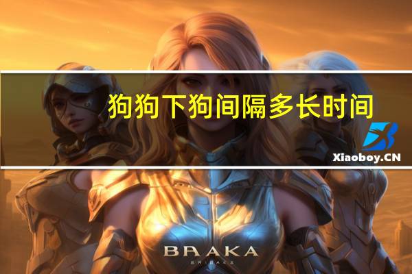 狗狗下狗间隔多长时间