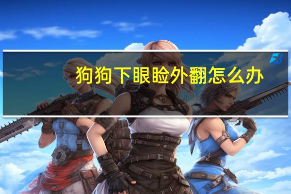 狗狗下眼睑外翻怎么办