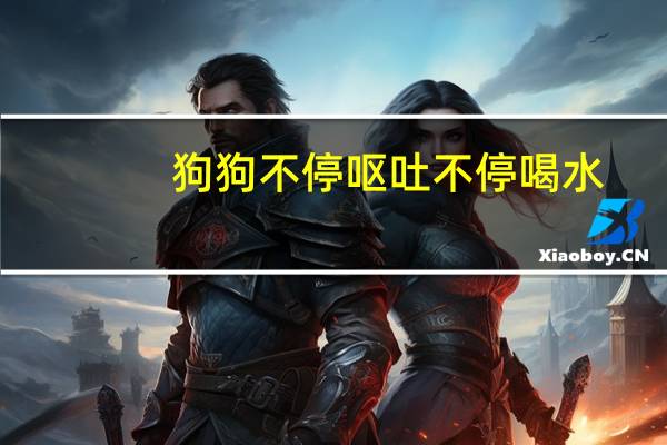 狗狗不停呕吐不停喝水