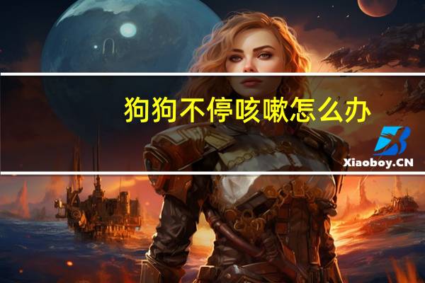 狗狗不停咳嗽怎么办