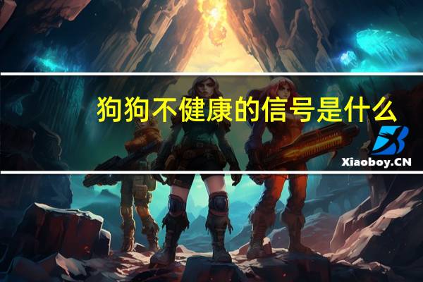 狗狗不健康的信号是什么