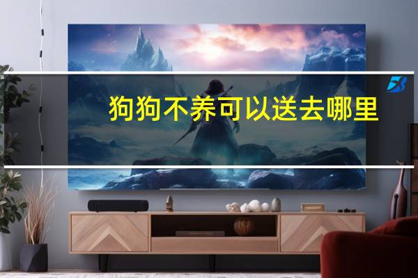 狗狗不养可以送去哪里