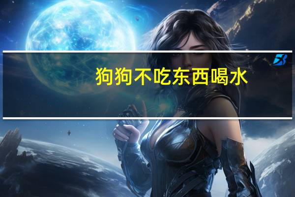 狗狗不吃东西喝水