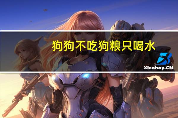 狗狗不吃狗粮只喝水