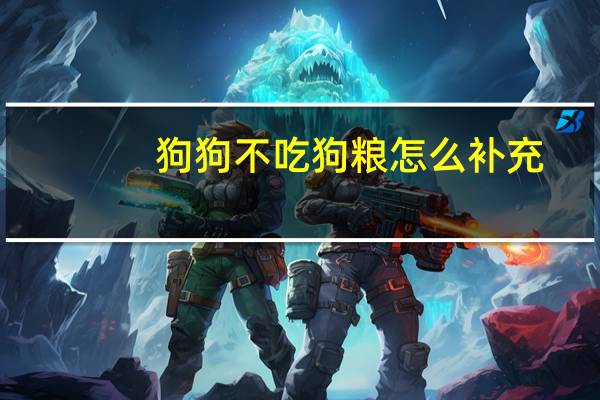 狗狗不吃狗粮怎么补充
