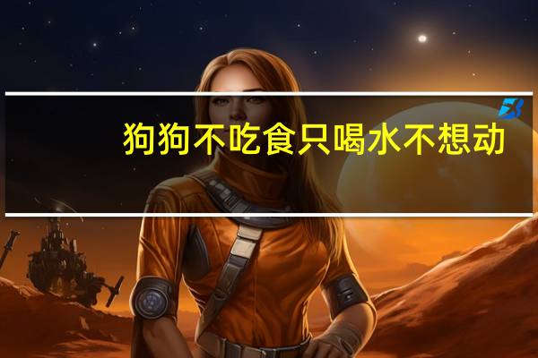 狗狗不吃食只喝水不想动