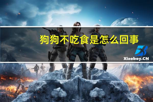 狗狗不吃食是怎么回事