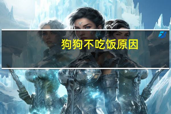 狗狗不吃饭原因